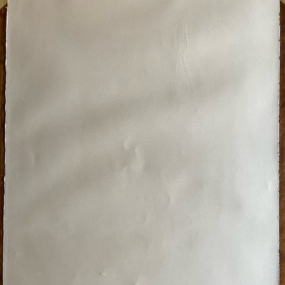 Salvador Dali Signed Limited Edition Lithograph - Picture 6 of 15